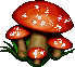 funghi images-animate-gif